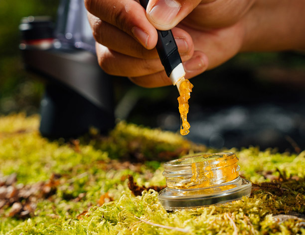 Concentrates
